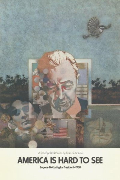Póster de America Is Hard to See