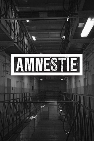 Póster de Amnestie