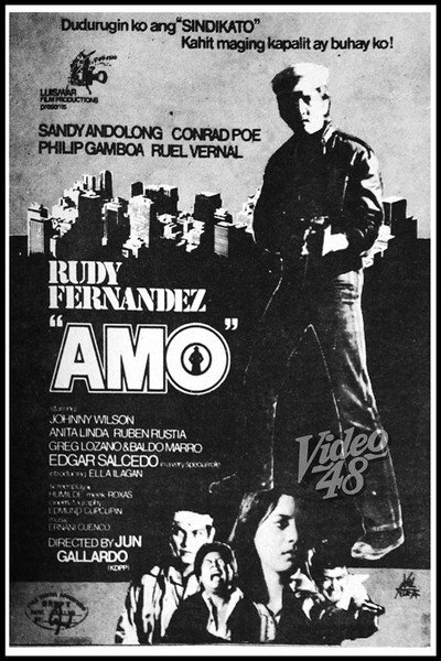 Póster de Amo