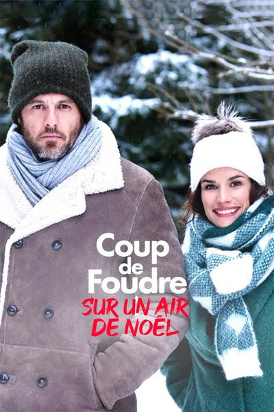 Póster de Amor en Viena