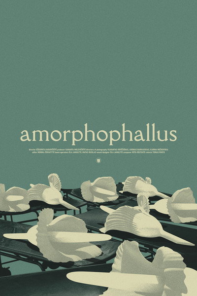Póster de Amorphophallus