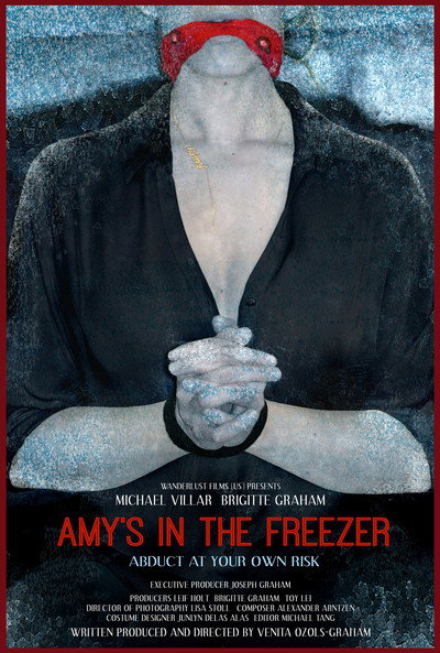Póster de Amy's in the Freezer