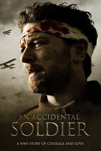 Póster de An Accidental Soldier