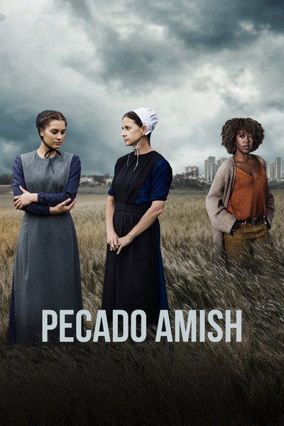 Póster de An Amish Sin