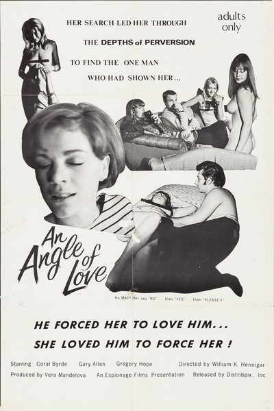 Póster de An Angle of Love