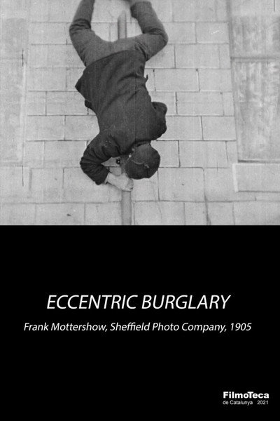 Póster de An Eccentric Burglary