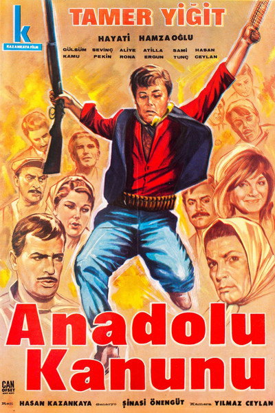 Póster de Anatolian Law