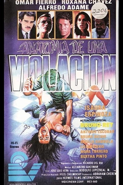 Póster de Anatomia de una violación