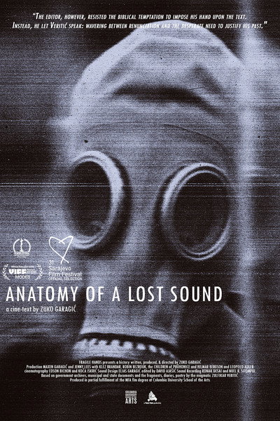 Póster de Anatomy of a Lost Sound