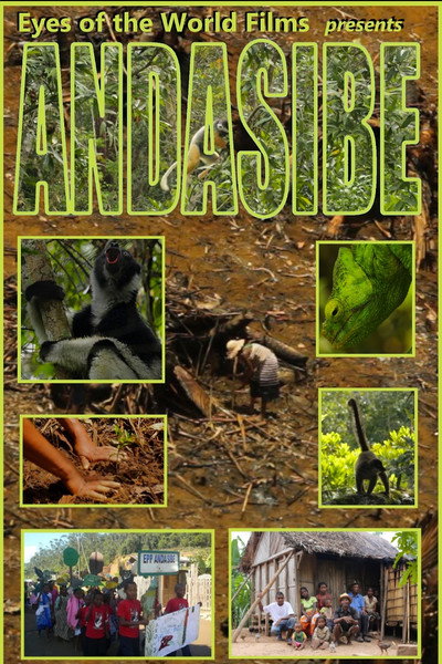 Póster de Andasibe