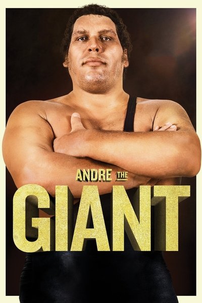 Póster de Andre the Giant