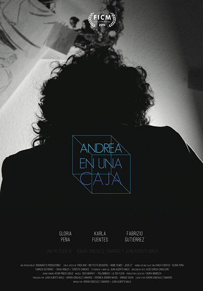 Póster de Andrea Within a Box