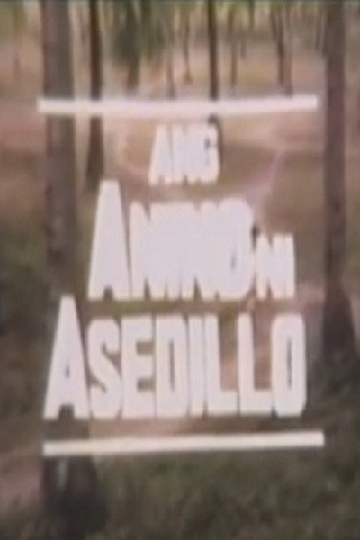 Póster de Ang anino ni Asedillo