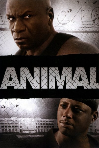 Póster de Animal