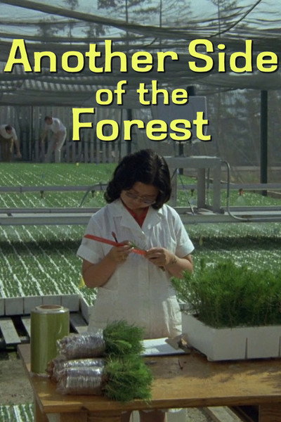 Póster de Another Side of the Forest