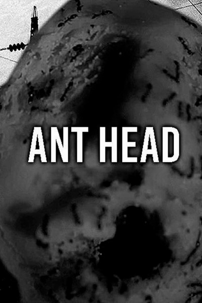 Póster de Ant Head