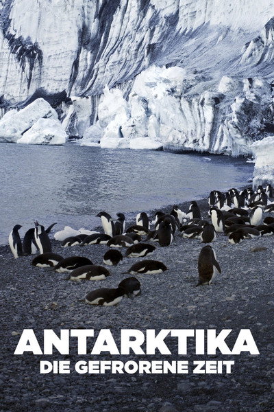 Póster de Antarktika - Die gefrorene Zeit