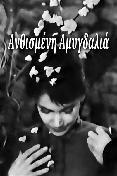 Póster de Anthismeni amygdalia