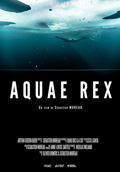 Póster de Aquae Rex
