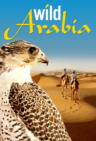 Póster de Arabia salvaje