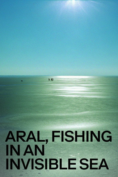 Póster de Aral, Fishing in an Invisible Sea