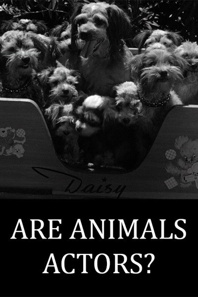 Póster de Are Animals Actors?