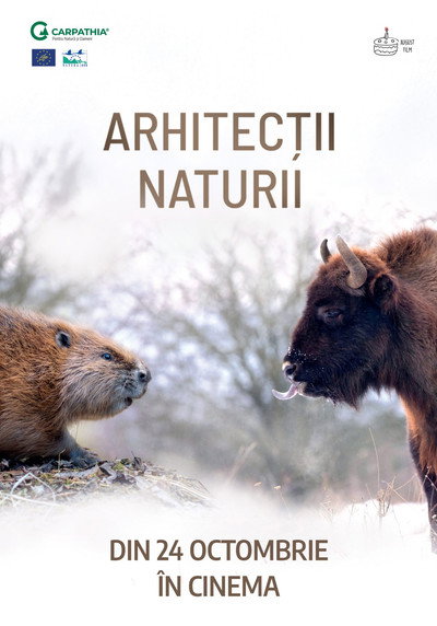 Póster de Arhitectii naturii