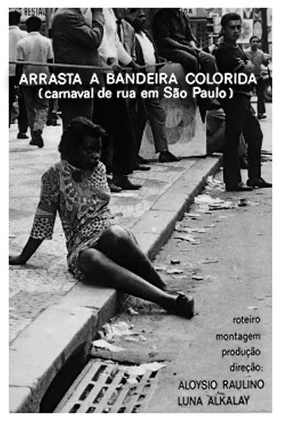 Póster de Arrasta a Bandeira Colorida