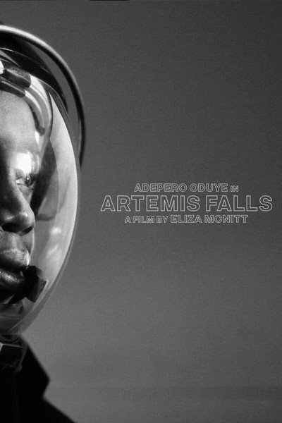 Póster de Artemis Falls