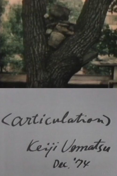Póster de Articulation
