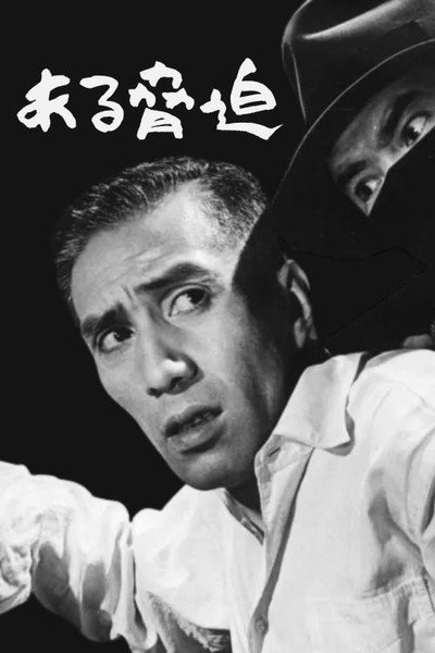 Póster de Aru kyôhaku