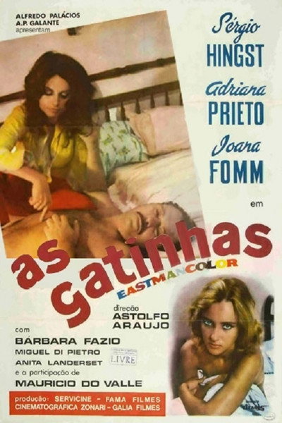 Póster de As Gatinhas