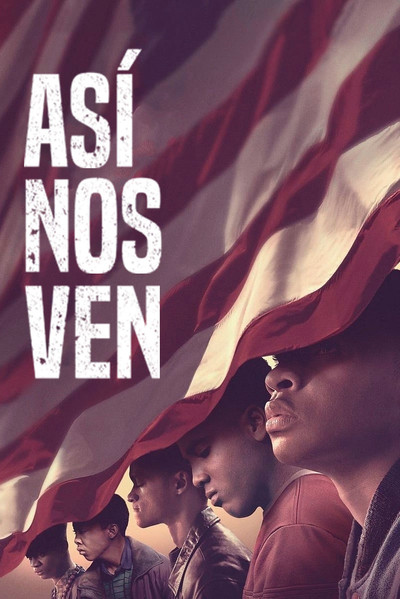 Póster de Así nos ven