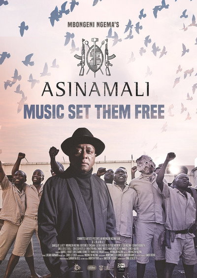 Póster de Asinamali