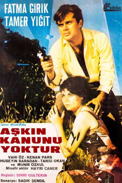 Póster de Askin kanunu