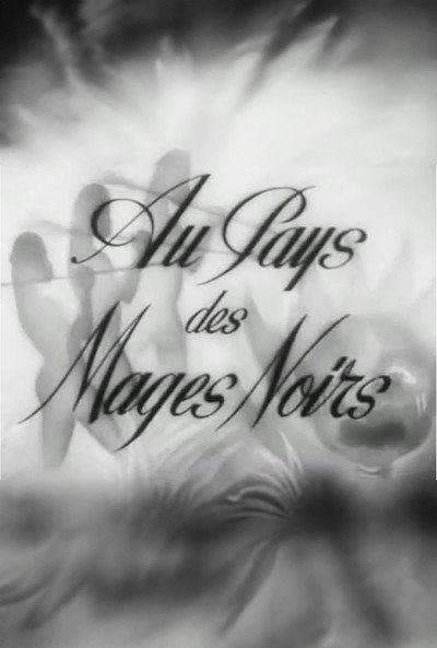 Póster de Au pays des mages noirs