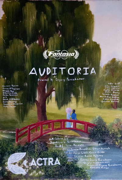 Póster de Auditoria