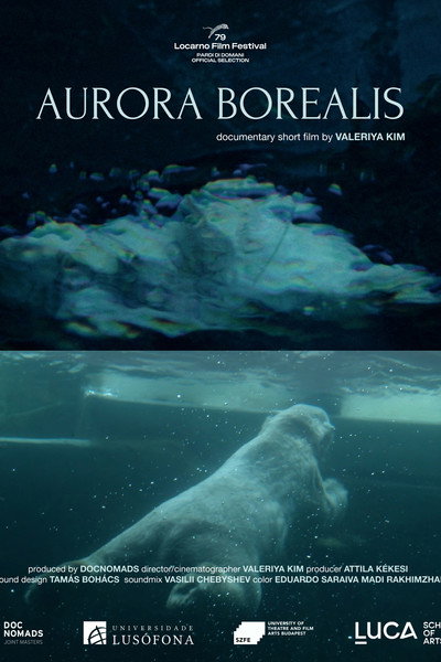 Póster de Aurora Borealis