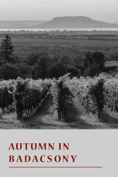 Póster de Autumn in Badacsony