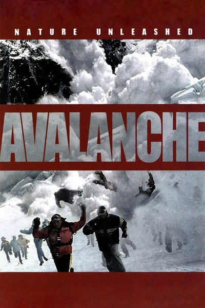 Póster de Avalancha: Pánico en la cumbre