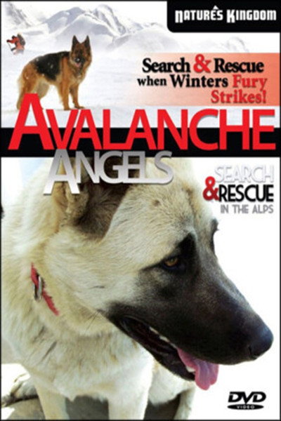 Póster de Avalanche Angels