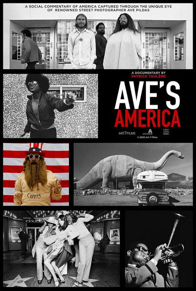 Póster de Ave's America
