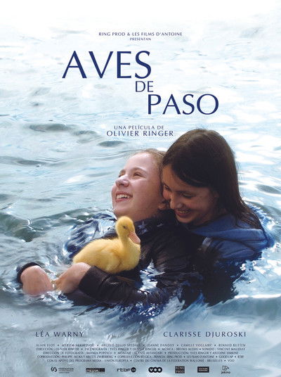 Póster de Aves de paso