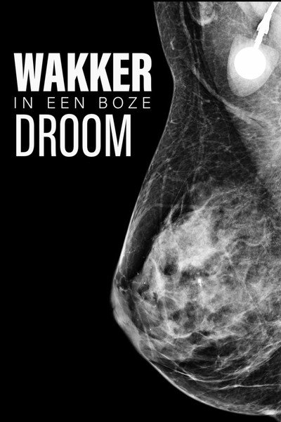 Póster de Awake in a Bad Dream