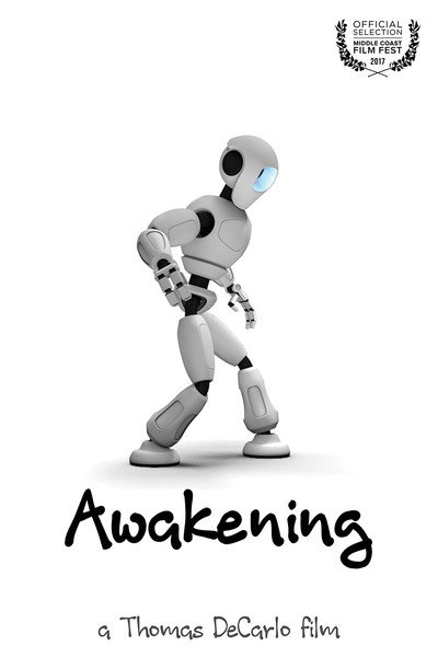 Póster de Awakening