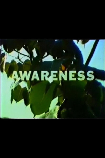 Póster de Awareness