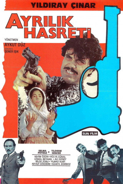Póster de Ayrilik Hasreti