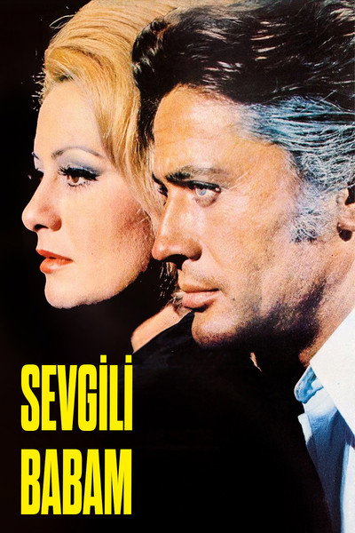 Póster de Aysecik: Sevgili Babam