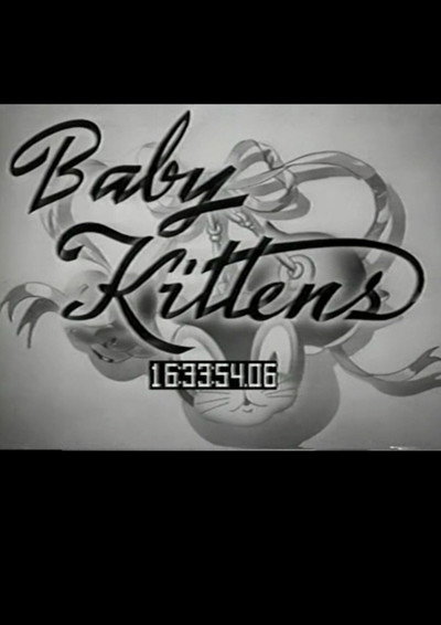 Póster de Baby Kittens