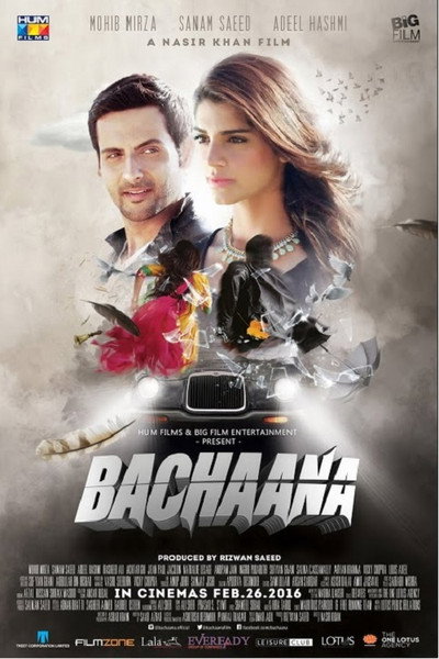 Póster de Bachaana